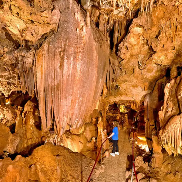 Festinsko kraljevstvo