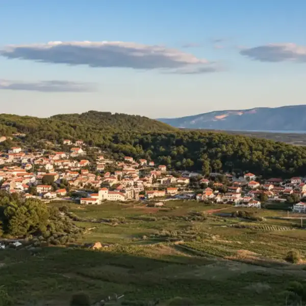 Svirce Hvar Dalmatien