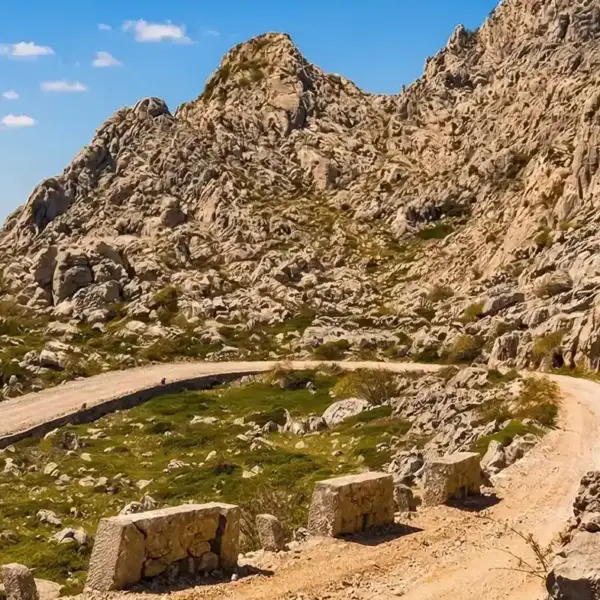 Majstorska cesta Kopie