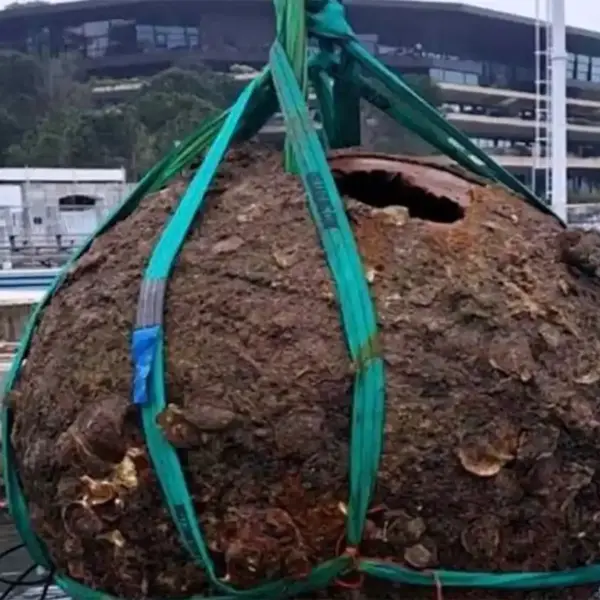 Mine Rovinj Geborgen