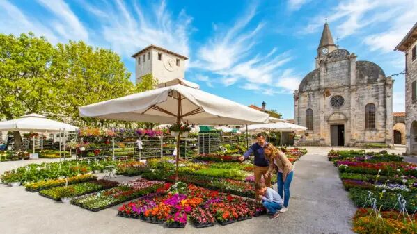 Festa od rozic in Istrien